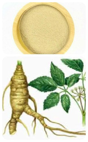 Eleuterococco ginseng - eleuterococco,